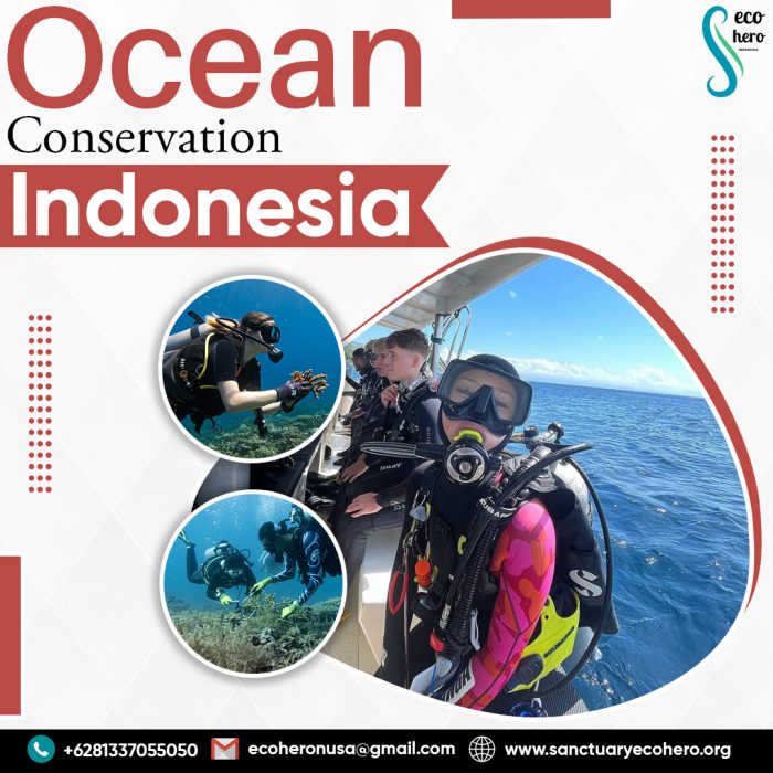 Ocean Conservation Indonesia