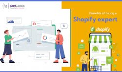 Benefits of Hiring Shopify Developers: Useful Insights