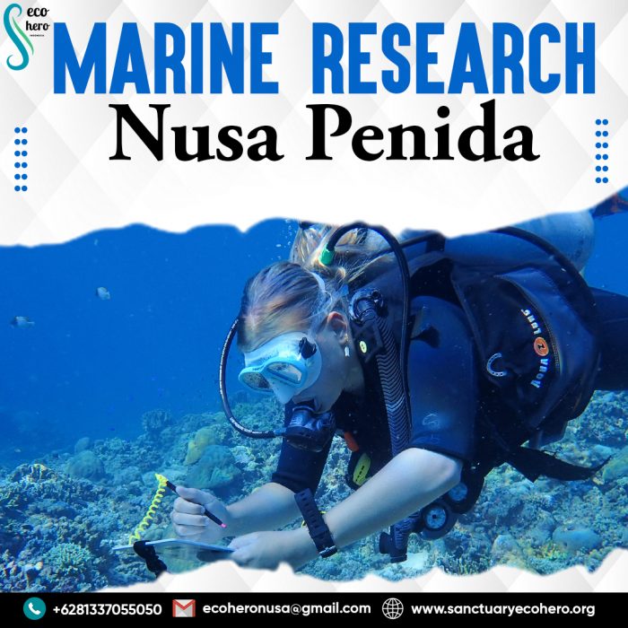 Marine Research Nusa Penida