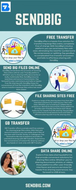 SendBig: Convenient Sharing of Huge Files Online