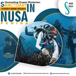 Unraveling Ocean Mysteries: Sanctuary EcoHero’s Marine Research in Nusa Penida