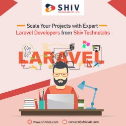 Create Effective Web Apps with Reliable Laravel Development Services