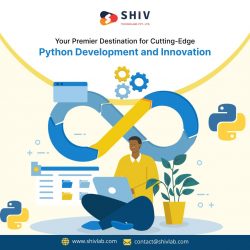 Create Flexible Web Apps with Proficient Python Development Services