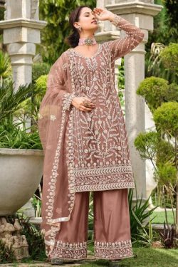 Elegant Beige Net Embroidered Suit Set for EID