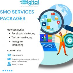 Social Media Marketing Packages Thats Help Make To Your Brand Popular