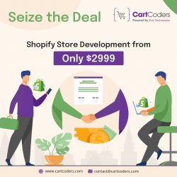 Transform Your Business with Cost-Effective Shopify Store Setup Services