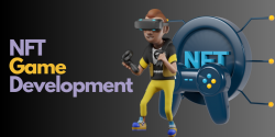 Enrich Your Gaming Experience With the Nft Game App Development