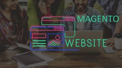Magento Web Development Company in Canada
