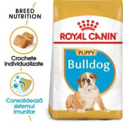 Hrană Royal Canin pentru Pisici: Nutriție Excepțională pentru Prietenii Fideli