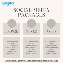 Get Best Social Media Results with our Customized Packages