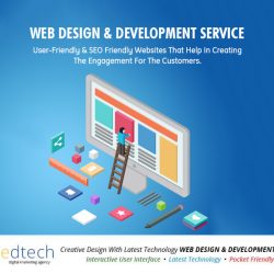 Why should you hire a web design agency?