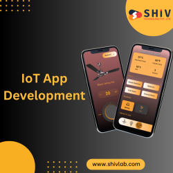 Create Innovative Apps with the Best IoT App Development Company