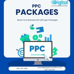 Maximize your business’s return on investment with our PPC packages