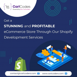 Get a Profitable eCommerce Store with Our Shopify Development Services