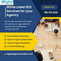 White Label SEO Services for Agencies & Marketers