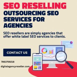 Reseller of SEO Services