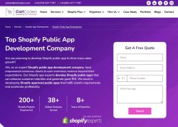 Top Shopify Public App Development Company: CartCoders