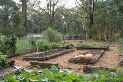Raised Garden Beds – Sustainable Solutions Timber Sleepers