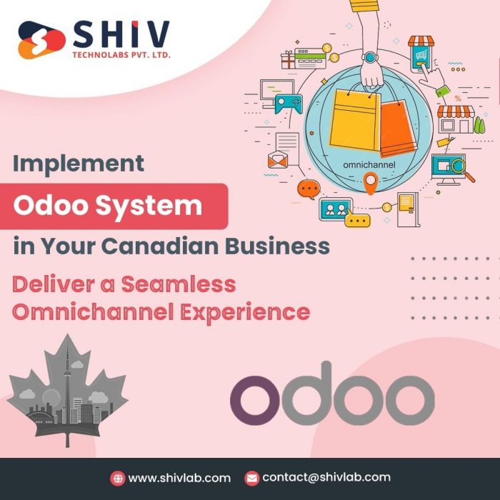 Optimize Your Canadian Business with Customized Odoo Solutions