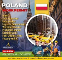 respected consultants for Poland work permit from Qatar