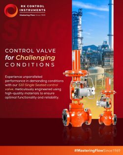 S 10 Single Seated control valve in India