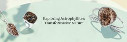 Celestial Healing Power: Harnessing the Transformative Properties of Astrophyllite