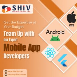 Budget-friendly Mobile App Developers at Shiv Technolabs