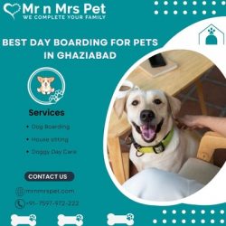 Are you Looking for Day Boarding For Pets in Ghaziabad