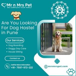 Are you Looking for Dog Hostel in Pune