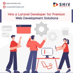 Navigate Success with Efficient Laravel Development Services in USA