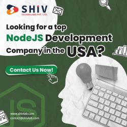 Your Go-To NodeJS Development Company in USA | Shiv Technolabs