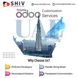 Boost Your Business with Reliable Odoo Customization Services in UAE
