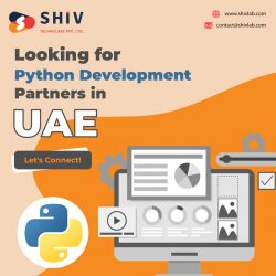 Top Tips for Choosing Python Development Partners in UAE