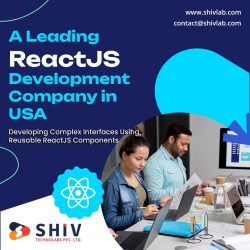 Top ReactJS Development Company in USA