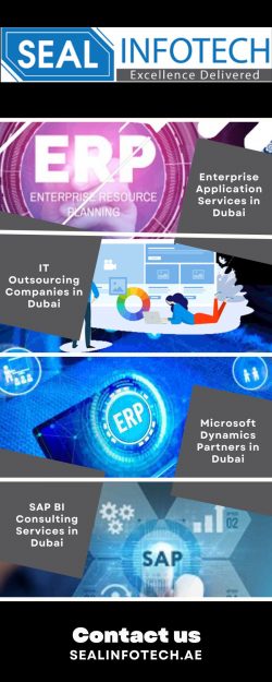 SAP Consulting Services Dubai