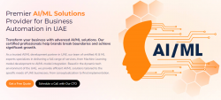 Transform Your Business with Effective AI & ML Solutions in UAE