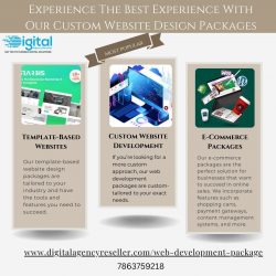 Web Development Packages To Grow Your Business
