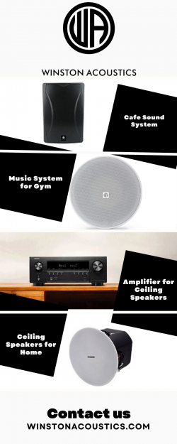 Powerful 12 Inch Speakers for Robust Audio Performance