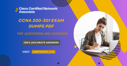 Comprehensive CCNA Exam Questions and Answers PDF