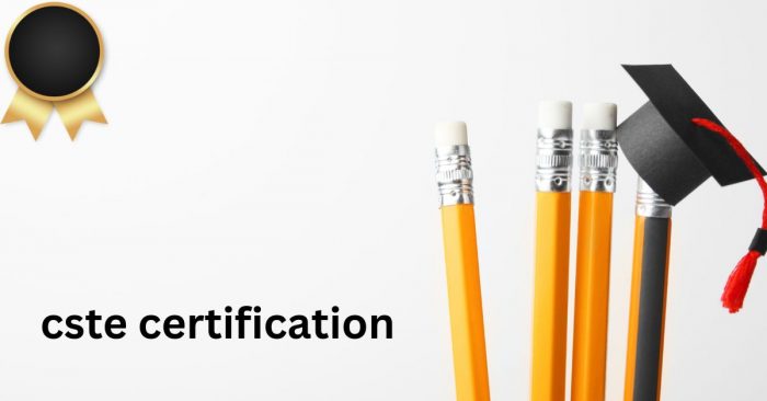 How to Choose the Best CSTE Certification Course