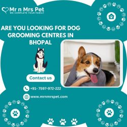 Best Dog Grooming Centres in Bhopal