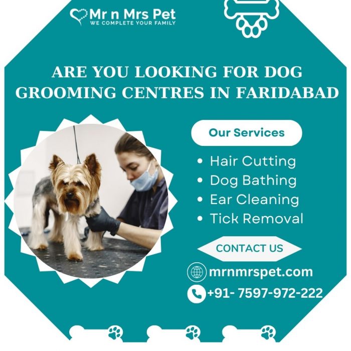 Best Dog Grooming Centres in Faridabad