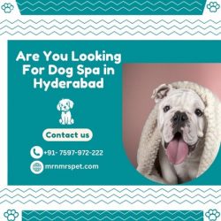 Are you Looking for Dog Spa in Hyderabad