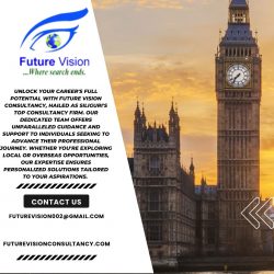 Charting Your Global Career Trajectory: Future Vision Consultancy, Your Expert Guide to Overseas ...