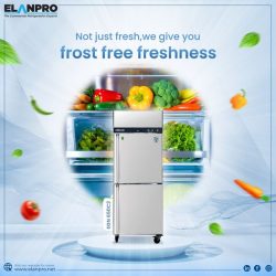 Find the Best Kitchen Refrigerator with Elanpro