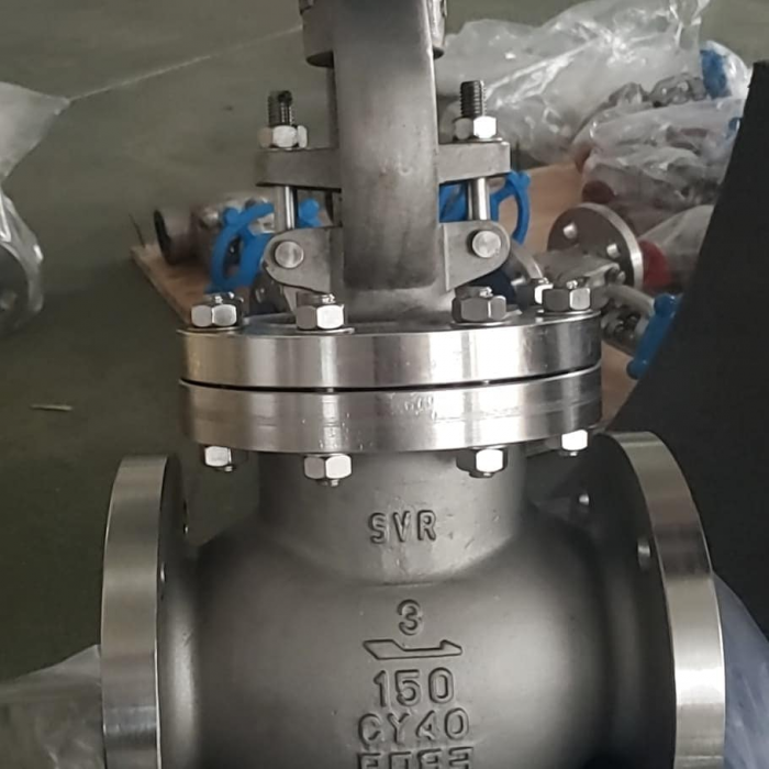 Globe Valve Supplier in Egypt