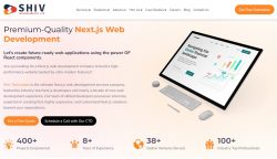 Premium Next.js Development Services by Shiv Technolabs