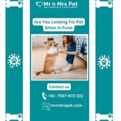 Are you Looking For Pet Sitter in Pune