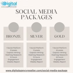 Monthly Social Media Marketing Packages