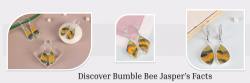 Bumble Bee Jasper: Origins, Significance, Healing Properties, Facts, Benefits & Applications